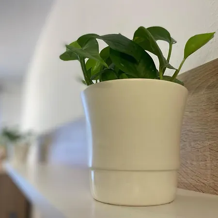 Playa Del Arbeyal Vut-5192-as 公寓 *