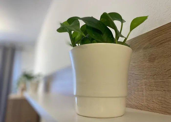 Playa Del Arbeyal Vut-5192-as 公寓 *